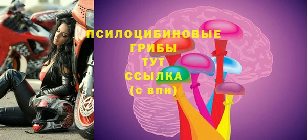 MDMA Premium VHQ Белокуриха
