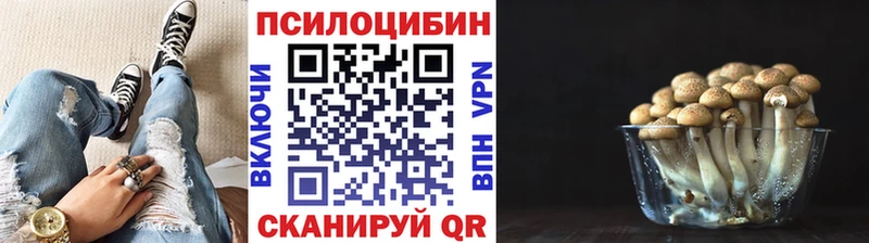 купить  сайты  Великие Луки  Псилоцибиновые грибы Psilocybe 